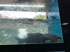 -老农民柴火灶鲜鱼馆