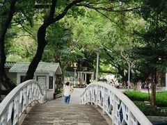 -荔湾湖公园