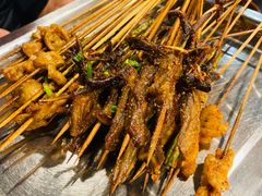 把把烧烤肥肠-夜烤·宜宾烧烤(回龙湾店)