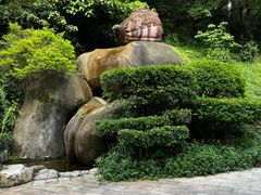 -雁南飞茶田景区