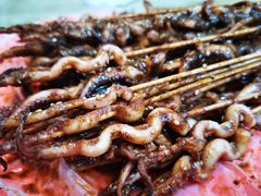 -十里铺铁板鱿鱼