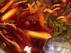 -金鼎雪山牦牛杂火锅(理县总店)