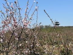 -南京市溧水区傅家边梅花山弄山庄