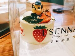 -罗森尼娜(解放西路店)