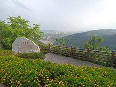 -铁山坪森林公园