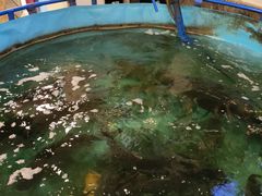 -大嫂镬仔·焖鸡煲·啫啫煲(逢源路店)