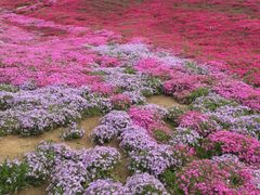 -昆嵛山石门里景区