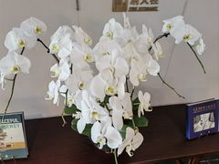 -明湖楼·经典鲁菜山东海鲜(大明湖店)