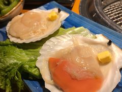 扇贝-本寻烧肉酒场(双井店)