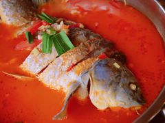 -苗湘食府(十年店)