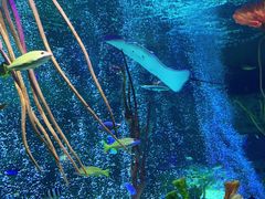 -沈阳海洋探索中心