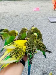 -萌宠亲子动物乐园(槐房万达店)