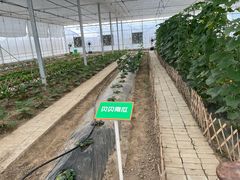 -菊园百果园