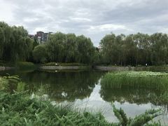 -望湖公园