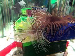 -太平洋海底世界