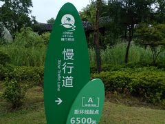 -尚贤河湿地