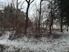 -长春市南湖公园