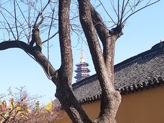 -太平天国侍王府