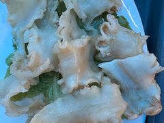 -濠轩阁特色生蚝火锅总店