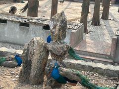 -南京金牛湖风景区