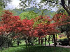 -黄公望隐居地