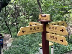 -老象峰