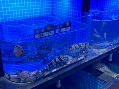 -望海臻鲜·海鲜餐厅