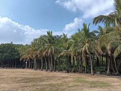 -深圳湾公园(南山区)