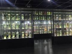 -广东中医药博物馆