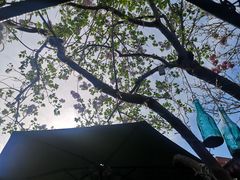 -陶野咖啡·面包披萨