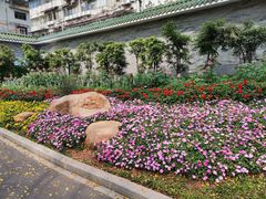 -晓港公园