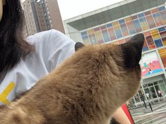 -爱妮康宠物医院·干细胞免疫细胞·肿瘤·心脏(张江店)