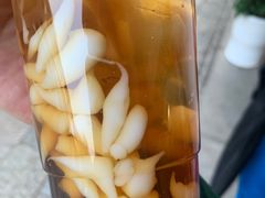 -木瓜老店