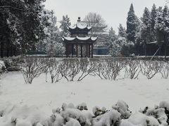 -洛阳白马寺
