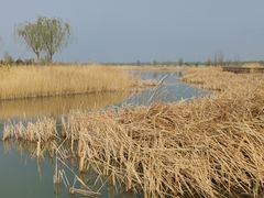 -野鸭湖国家湿地公园
