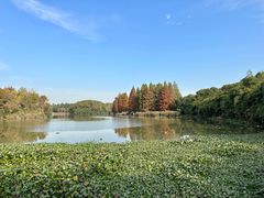 -艾溪湖湿地公园