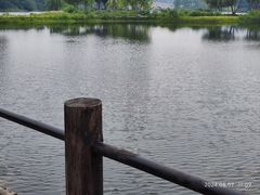 -眉山湿地公园(东坡区)