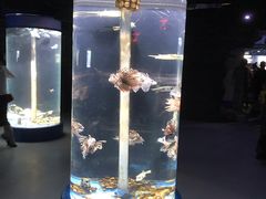 -苏州海洋馆