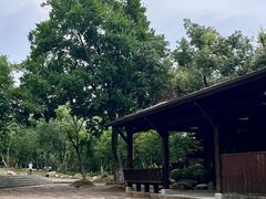 -盘龙城国家考古遗址公园