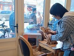 -猫小院猫主题餐厅(南锣旗舰店)