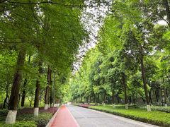 -龙头寺公园