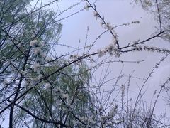 -三里河公园