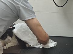 -悠尼宠物·独立低压伊珊娜洗护·美容·寄养(兰谷路店)