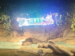 -重庆欢乐海底世界