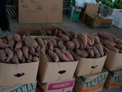 -庞各庄翠芳园西瓜蔬菜基地采摘园