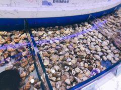 -澜悦港海鲜体验主题餐厅