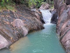 -广州白江湖森林公园