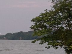 -瑶湖郊野森林公园