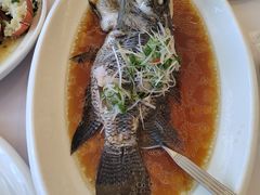 -骏莱海鲜鱼港(五角场店)