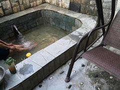 -北京美神宫艺术主题温泉酒店
